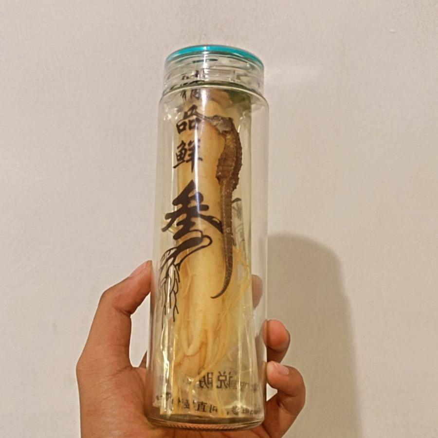 

[Paket Komplit] Ginseng Segar Original