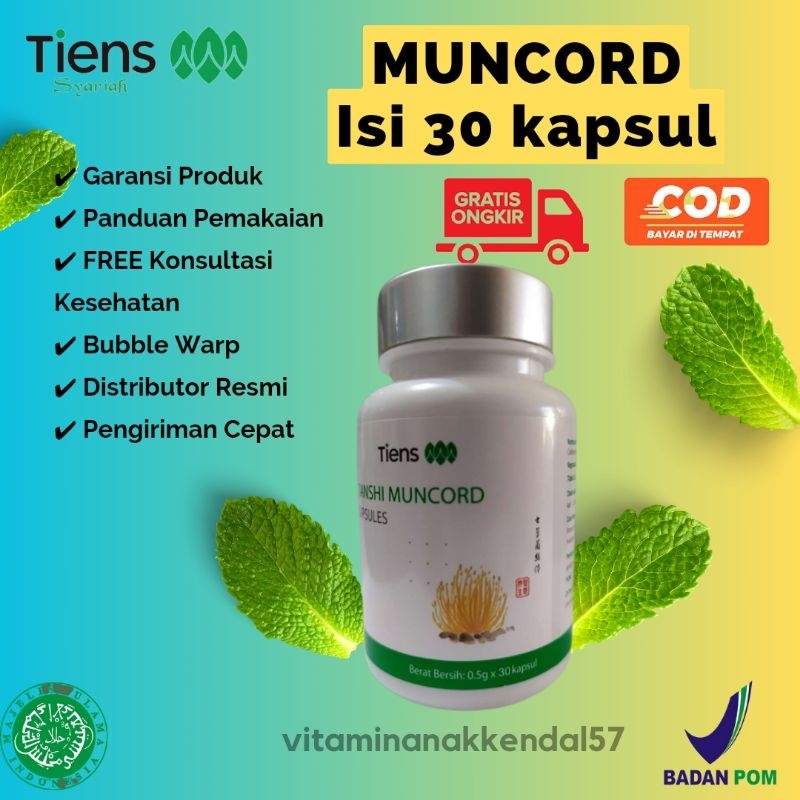 MUNCORD ISI 30 KAPSUL