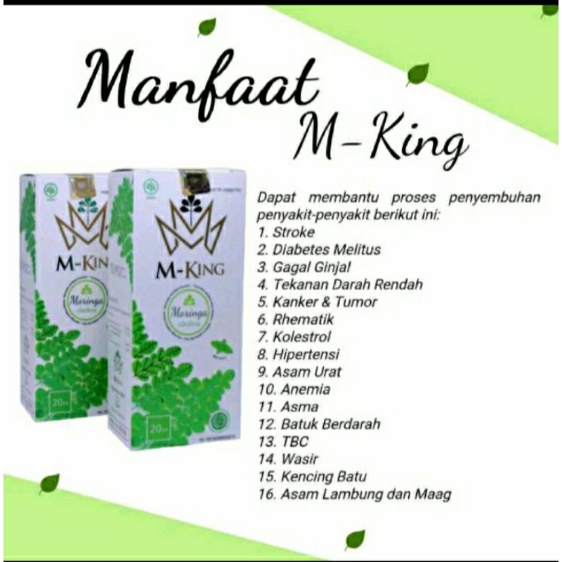 M King Moringa Original