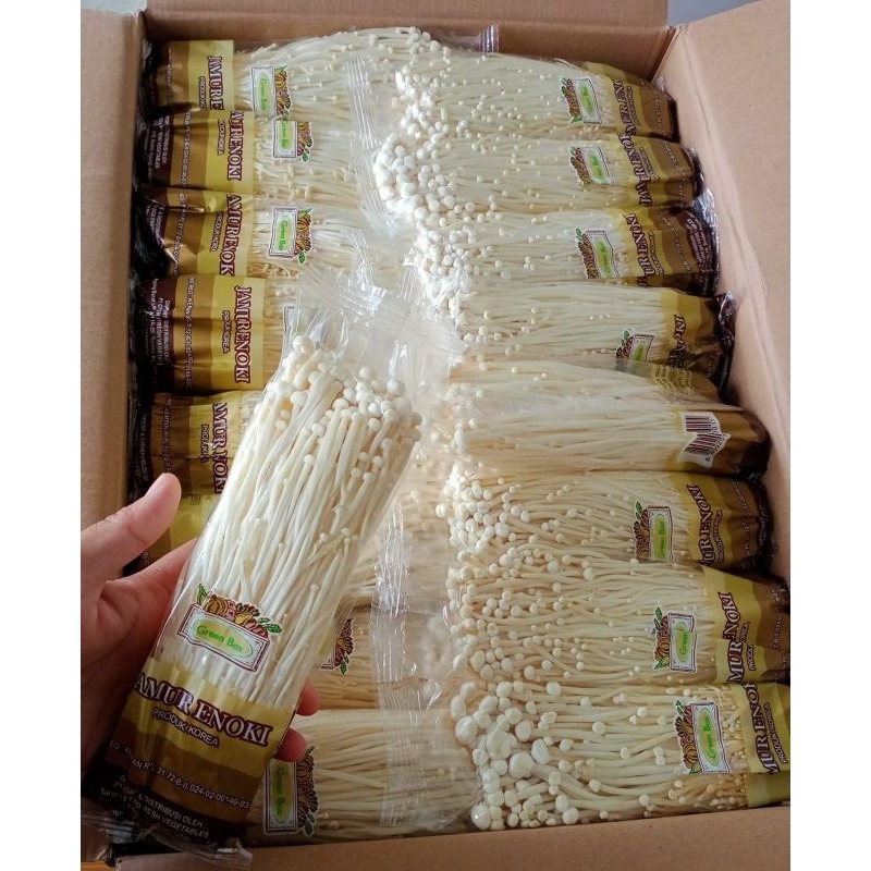 

Jamur Enoki Termurah
