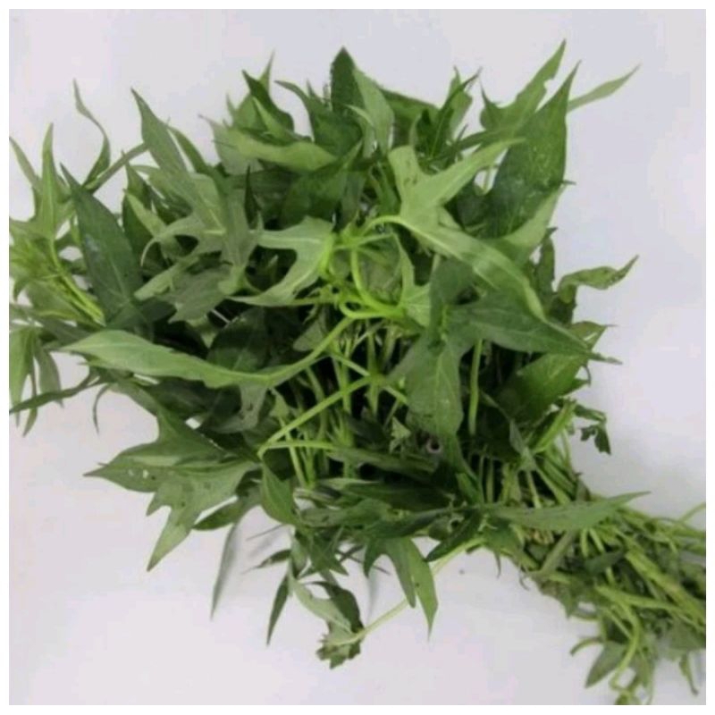 

Sayur Daun Ubi /Ketela Rambat Sayur Segar