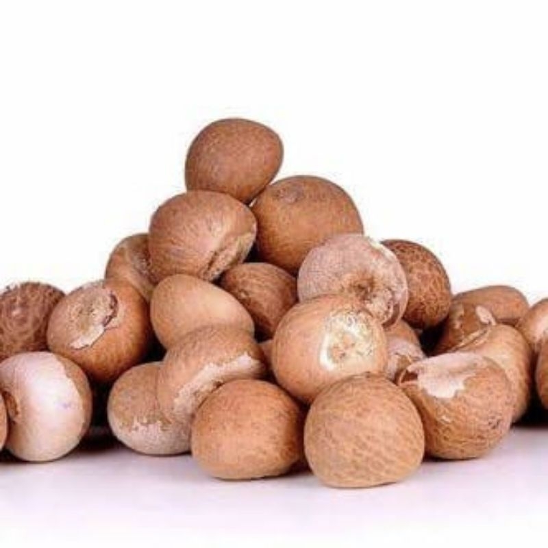 

Biji Buah Pinang Tua Kering Utuh 1 Kg Herbal