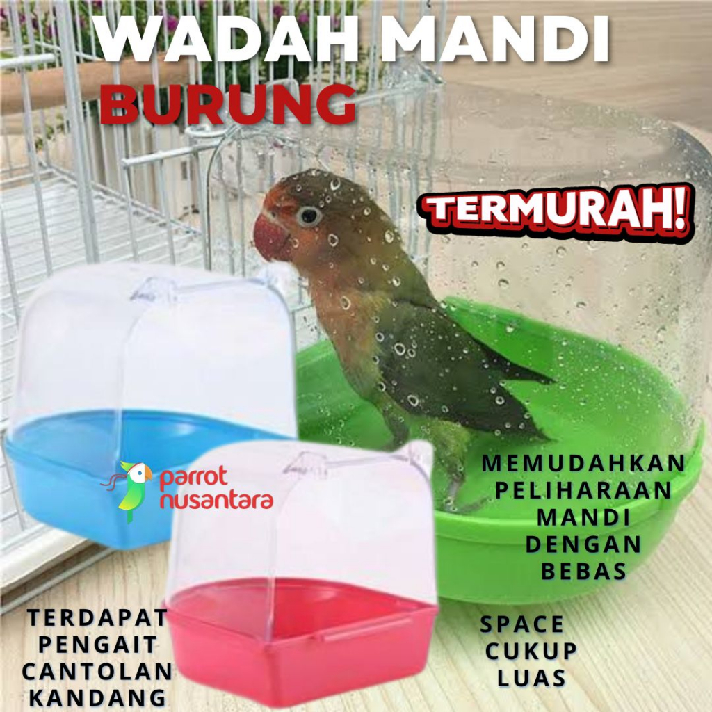 TEMPAT WADAH MANDI BURUNG LOVEBIRD PLECI MURAI PARKIT ORIGINAL SWEET