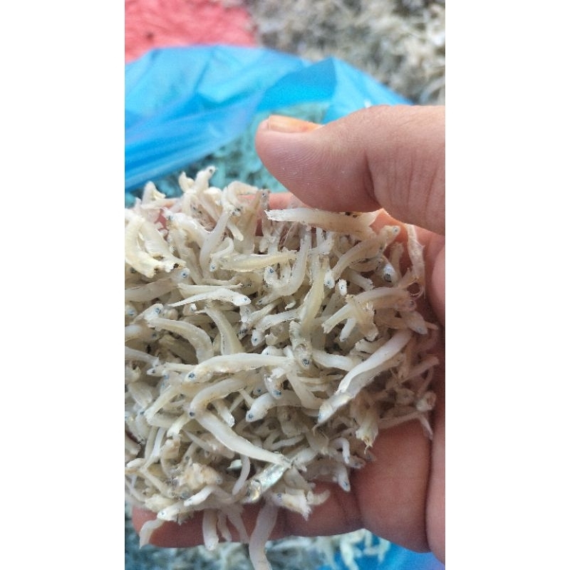 

teri medan/teri nasi