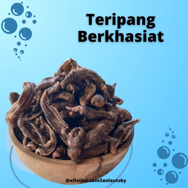 

(Camilan Laut Sby) Krupuk Teripang Berkhasiat 100gr