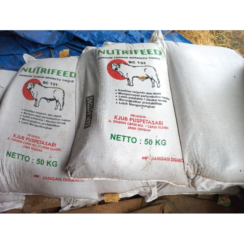 Konsentrat Nutrifeed BC134 Pakan Sapi dan Kambing penggemukan Berkualitas