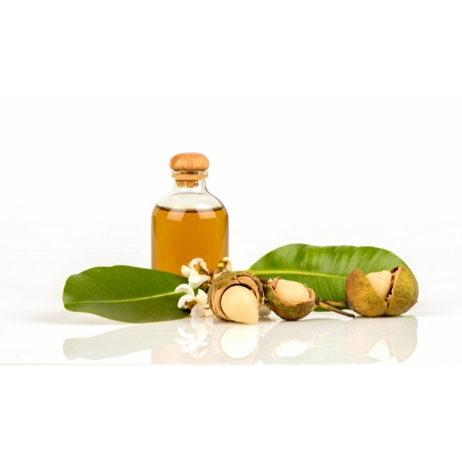 Tamanu Oil 100ml / Minyak Tamanu