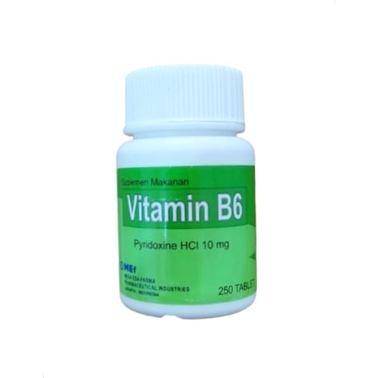 Vitamin B6 10mg 250's Tablet Mef