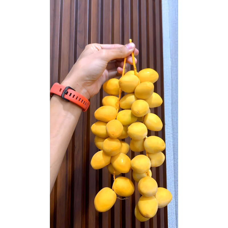 Kurma Muda Ruthob Barhee