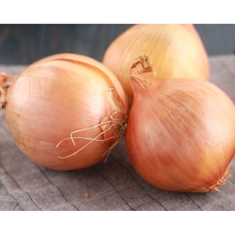 

Bawang bombay 250 gram