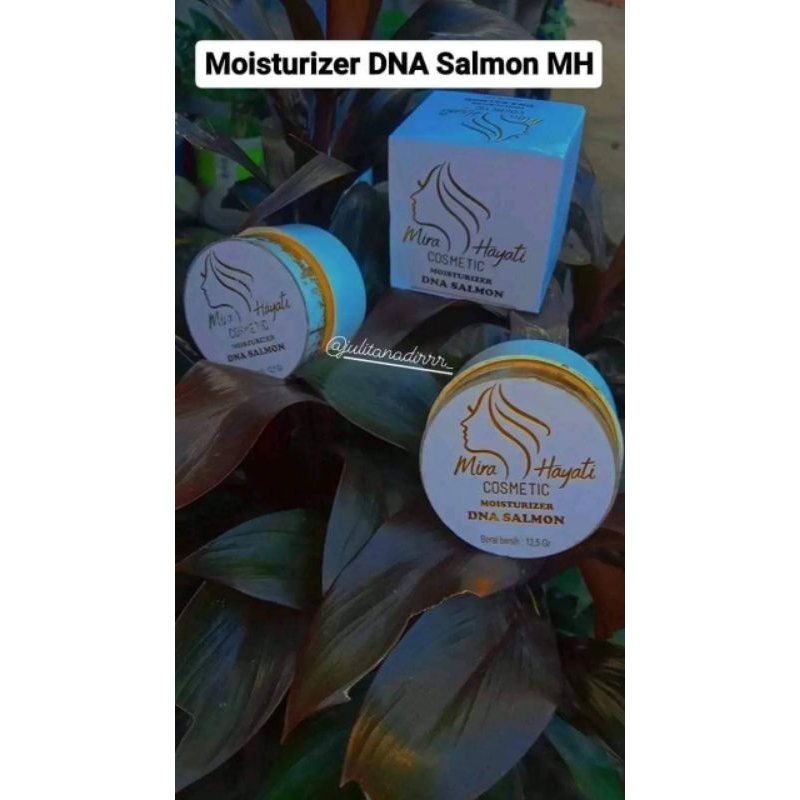 DNA SALMON BY.MIRA HAYATI