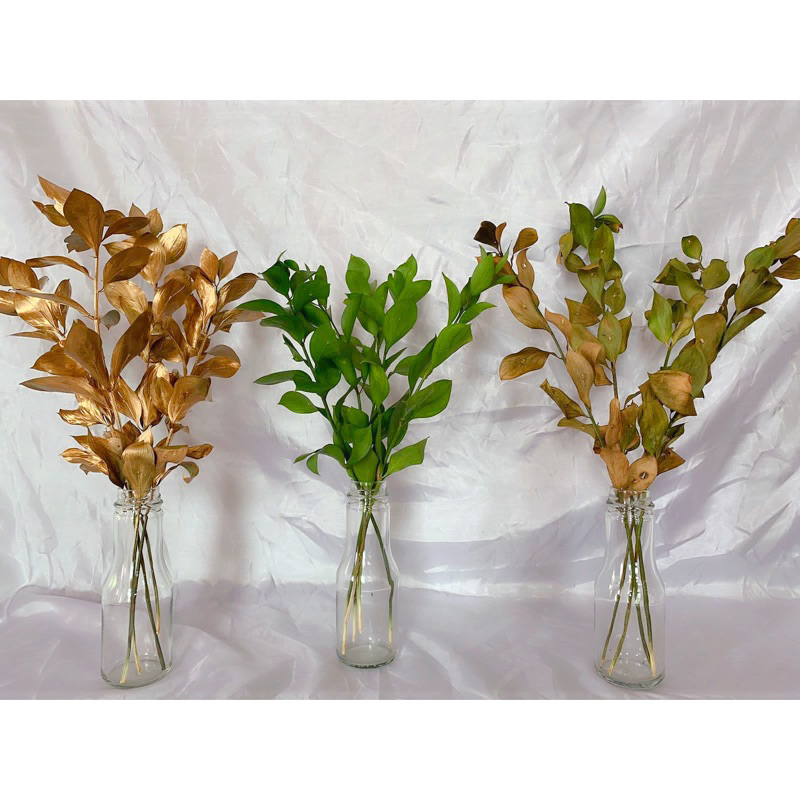 RUSKUS / bunga kering rustic aesthetic