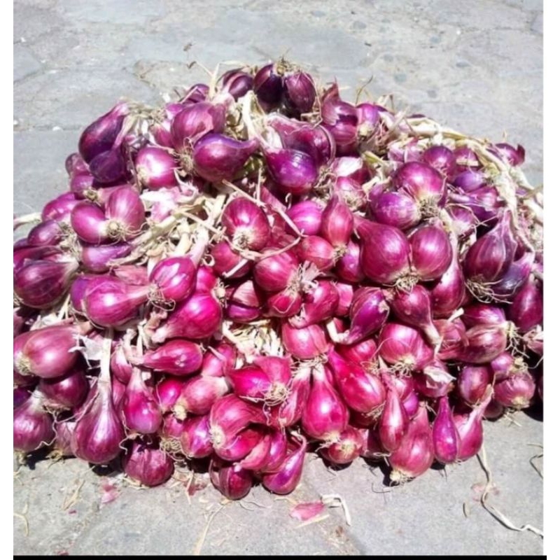 

bawang merah super 1kg