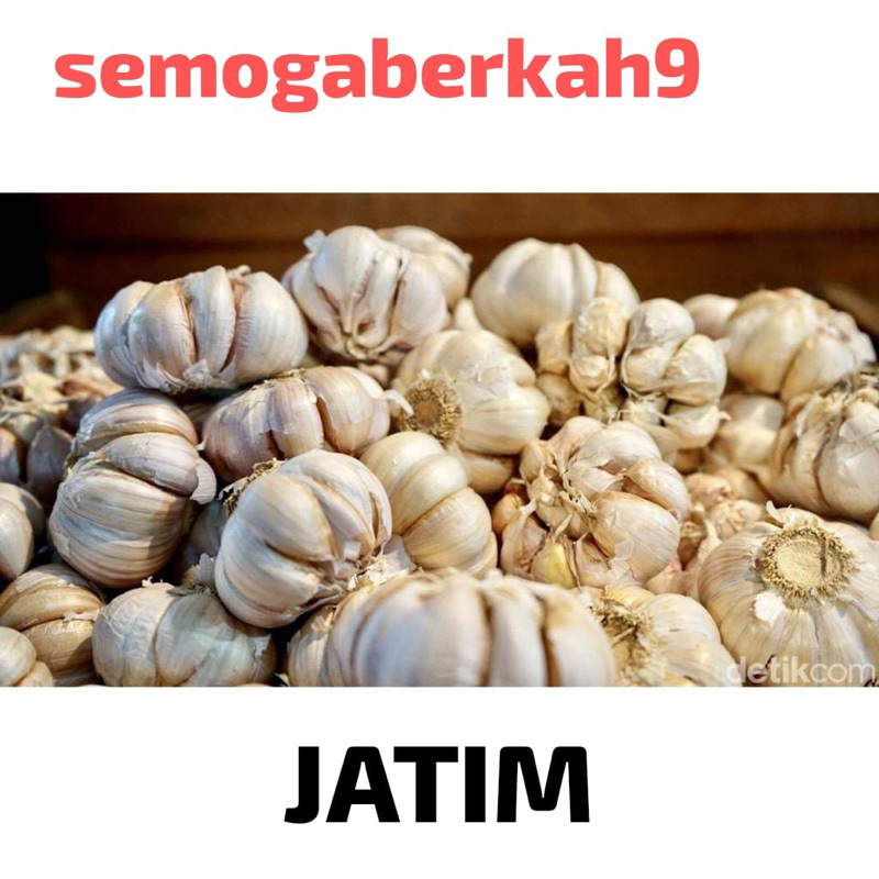 

JATIM-BAWANG PUTIH 1/2 KG KWALITAS SUPER