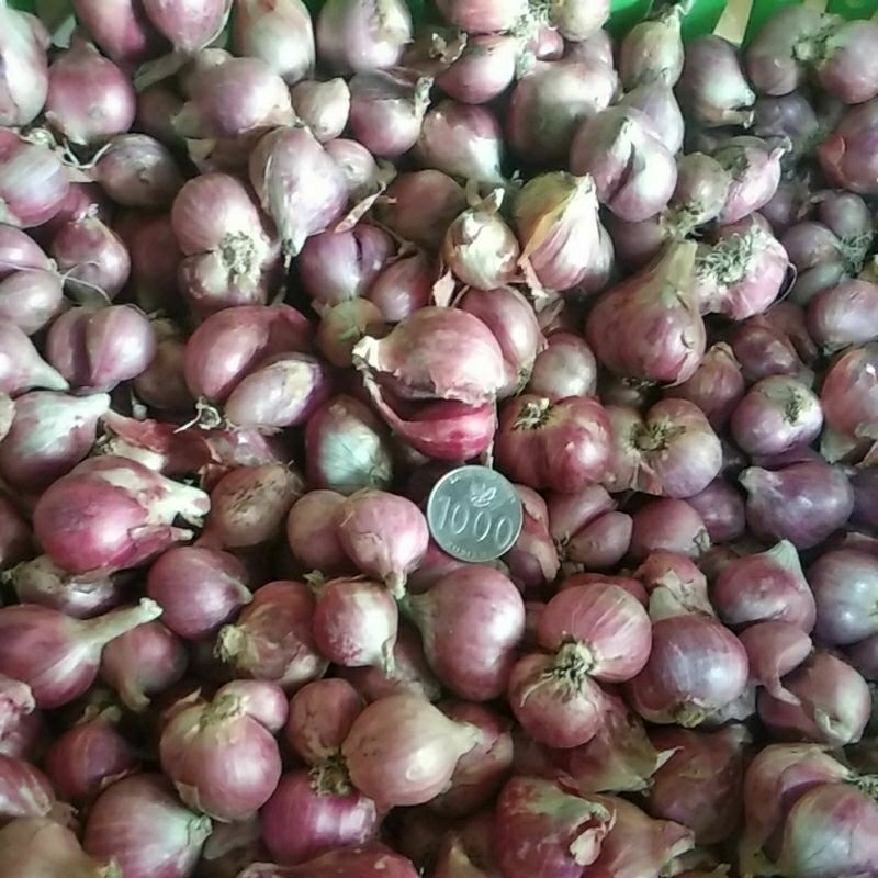 

Bawang merah 1 kg
