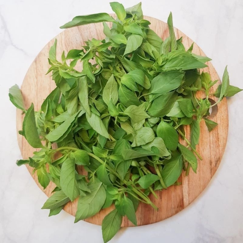 

Daun kemanggi segar 1 ikat 100gr