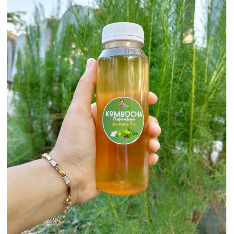 

Kombucha Tea Original Jasmine Mint Tea Minuman Fermentasi Probiotic Drinks