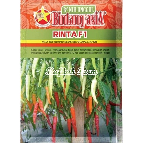 Benih 15 Biji Cabe Rawit RINTA F1