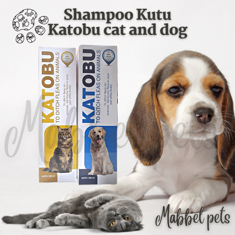 Katobu shampoo Kutu Kucing Anjing / Obat Kutu kucing Anjing 100ml
