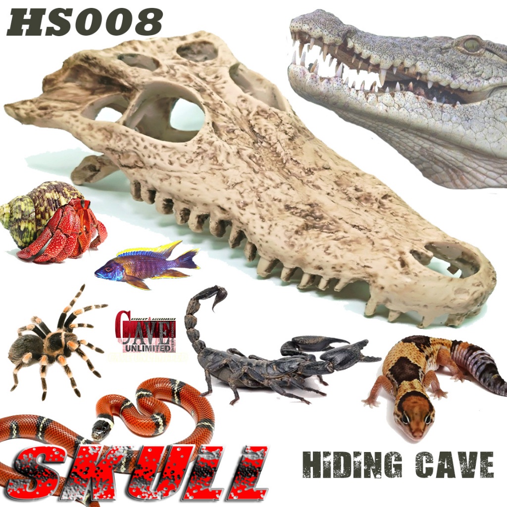HS008 HIDING SKULL TENGKORAK KEPALA BUAYA CROCODILE PREDATOR HIASAN KANDANG TEMPAT SEMBUNYI ULAR BD 