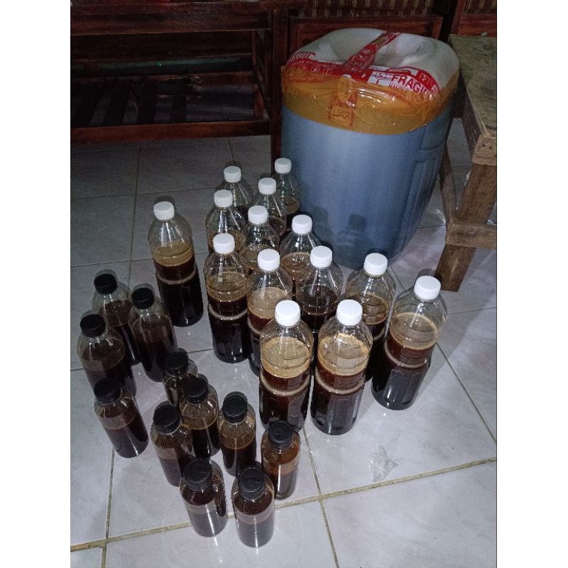 

Madu Hitam Akasia Carva