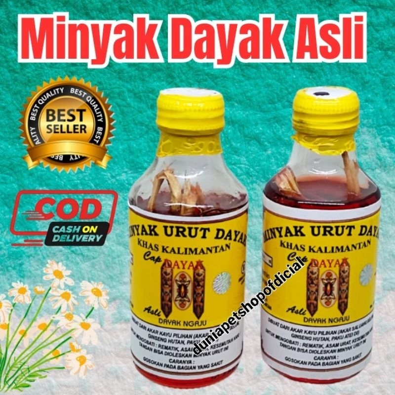 Minyak Dayak Asli Kalimantan 100% | Minyak Urut Ibu Ida Dayak | Minyak Urut
