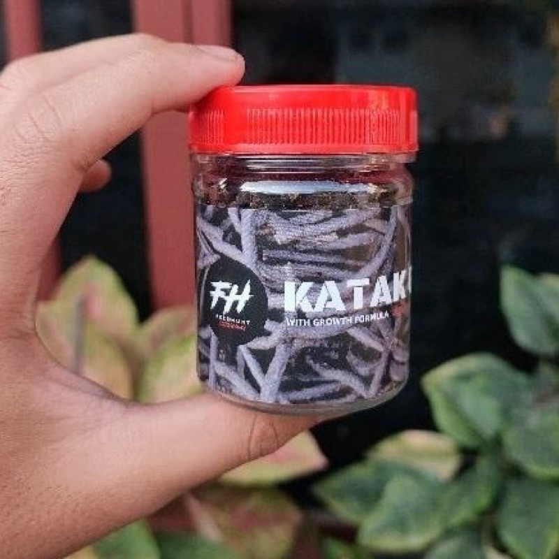 FEEDHUNT KATAK GILING, PAKAN AURANTI PELET KATAK KODOK MURNI KATAK SAWAH