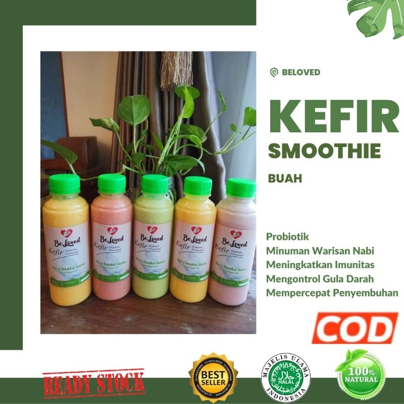 

Kefir Smoothies Susu Sapi Minuman Fermentasi Probiotik 250ml