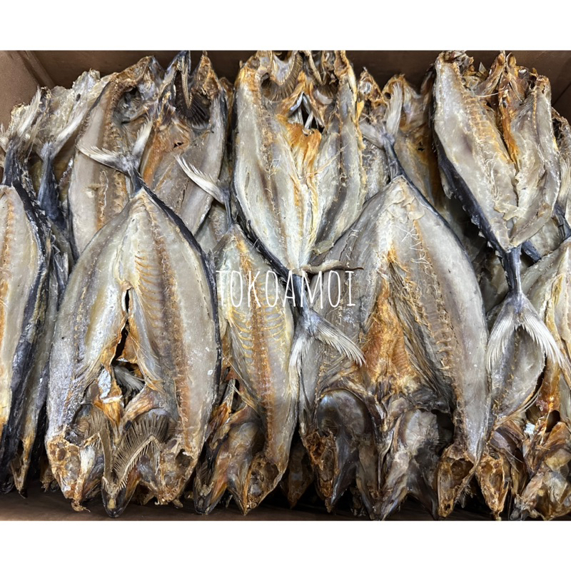 

Ikan Asin Tongkol Khas Kalimantan 300gr / 500g