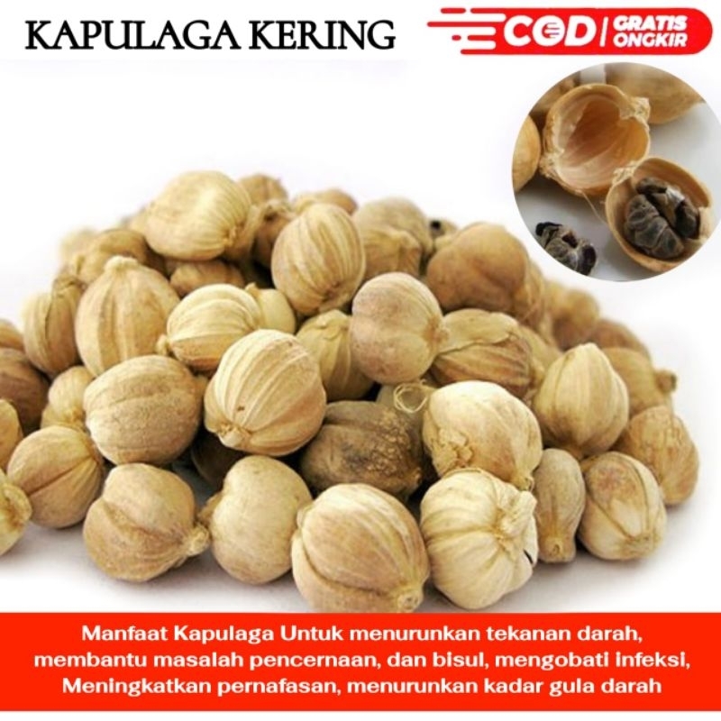 

KAPOL/KAPULAGA KERING 1000 GRAM