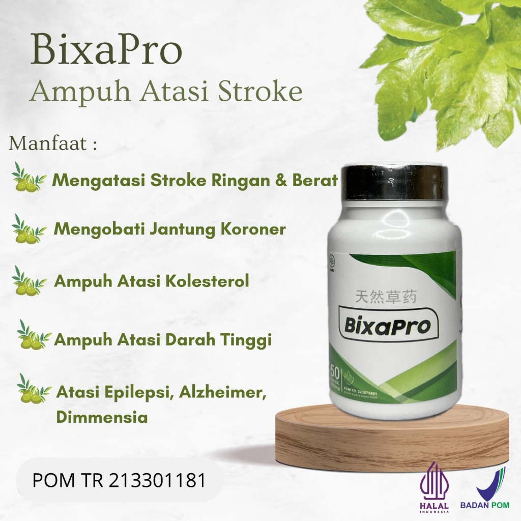 BixaPro Obat Stroke Herbal Premium Ampuh Untuk Atasi Penyakit Stroke Menahun