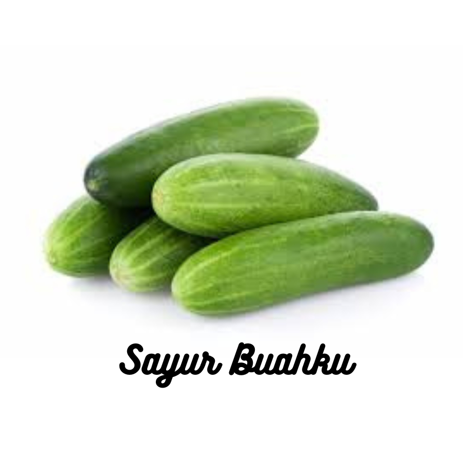 

Timun/Mentimun/Bonteng