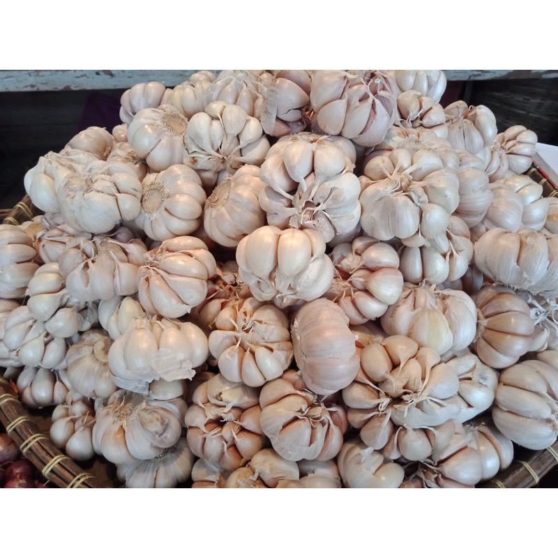 

BAWANG PUTIH MURAH BOGOR 250 gram