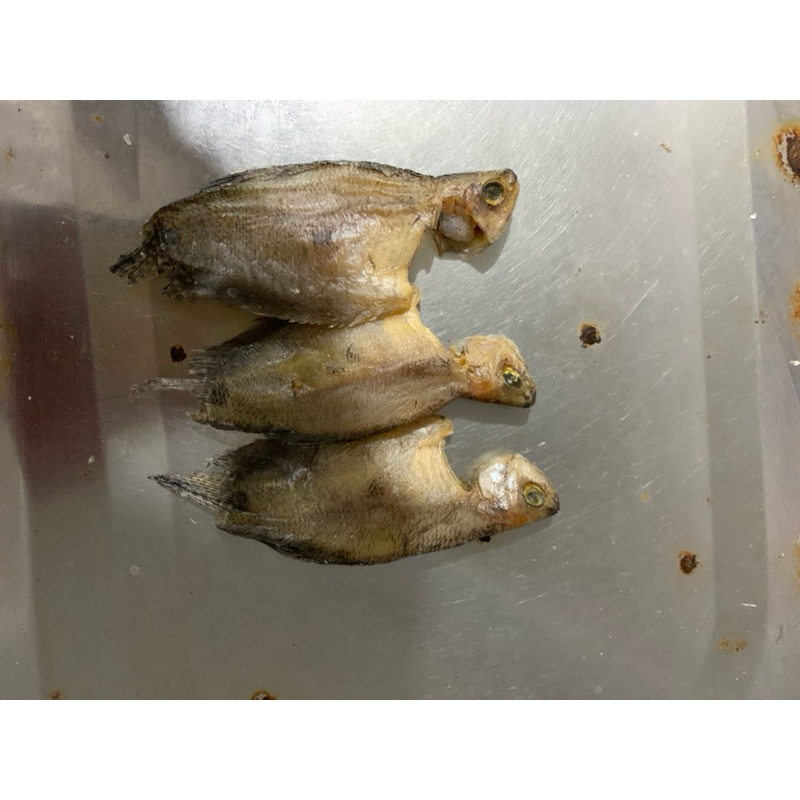 

ikan asin sepat kecil/bakrik;500gram