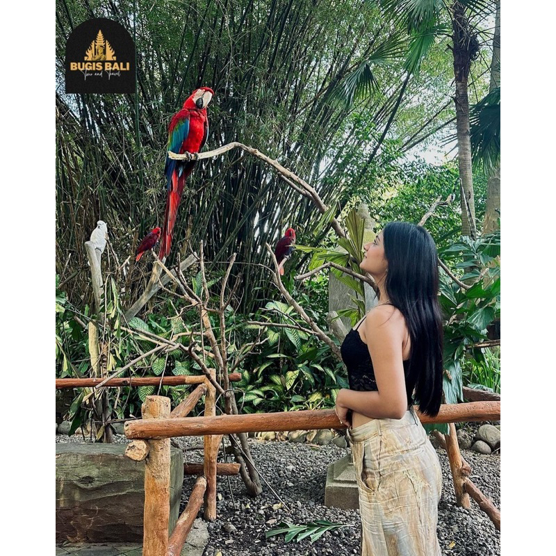 SALE   Tiket Bali safari khusus Lokal