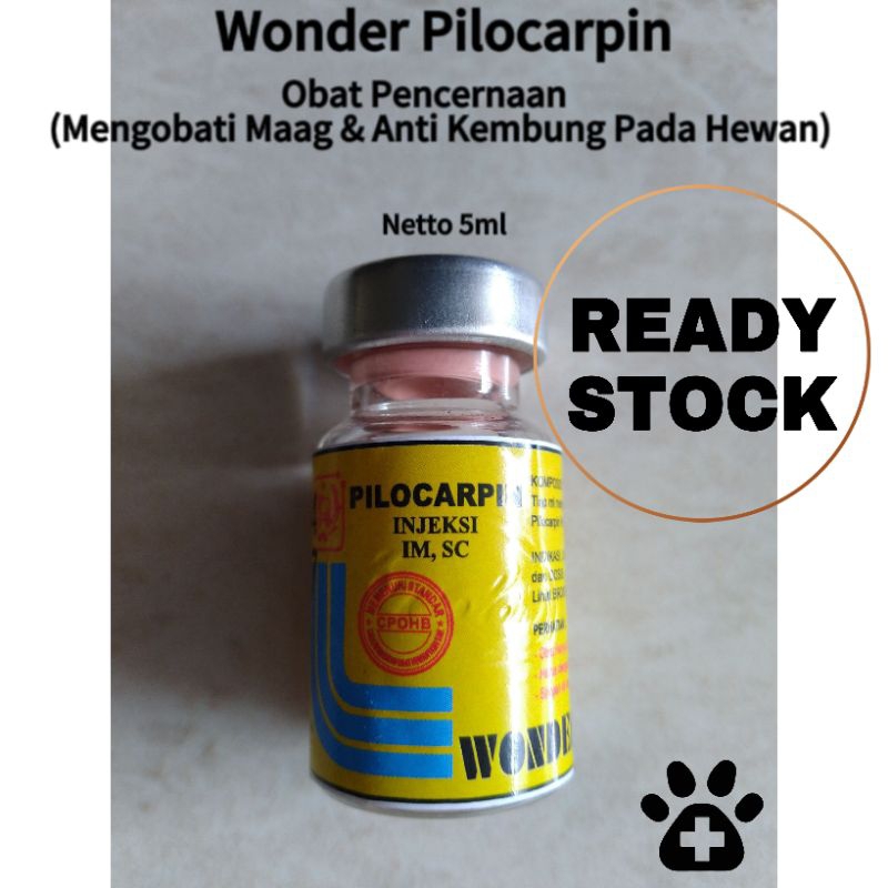 WONDER - Pilocarpin | Netto 5ml