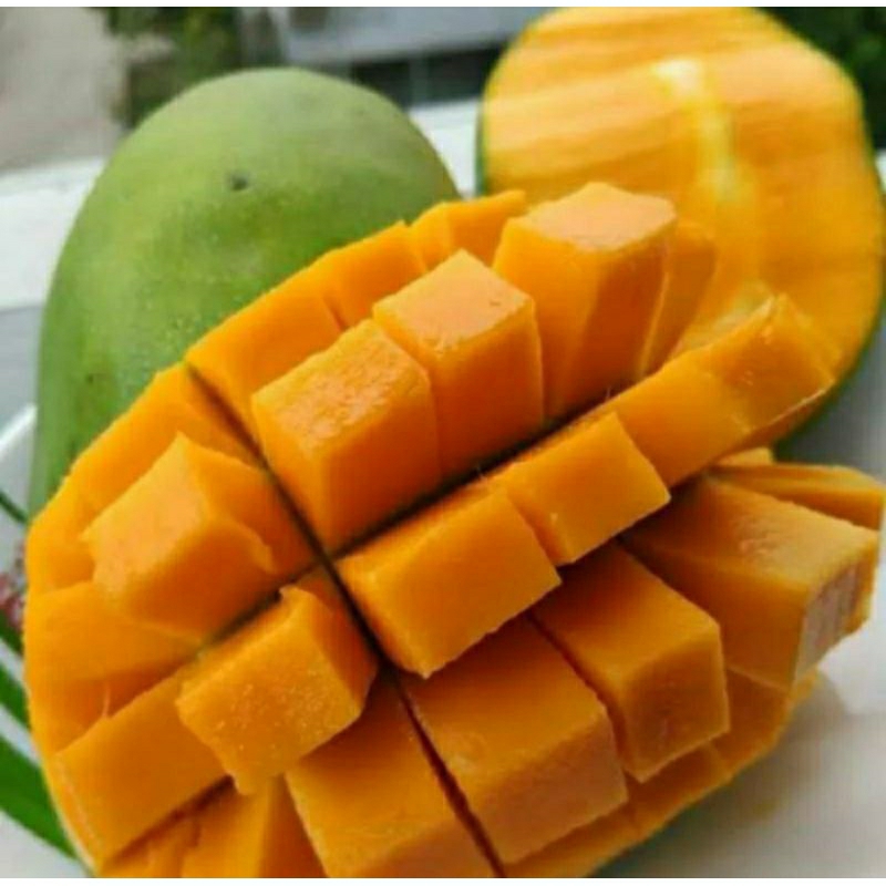 

mangga arumanis 1kg