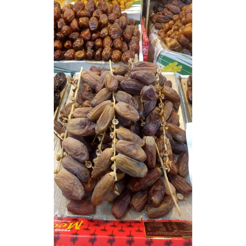 

kurma tunisia tangkai