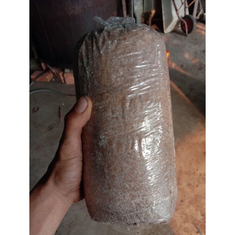 

folibag jamur tiram