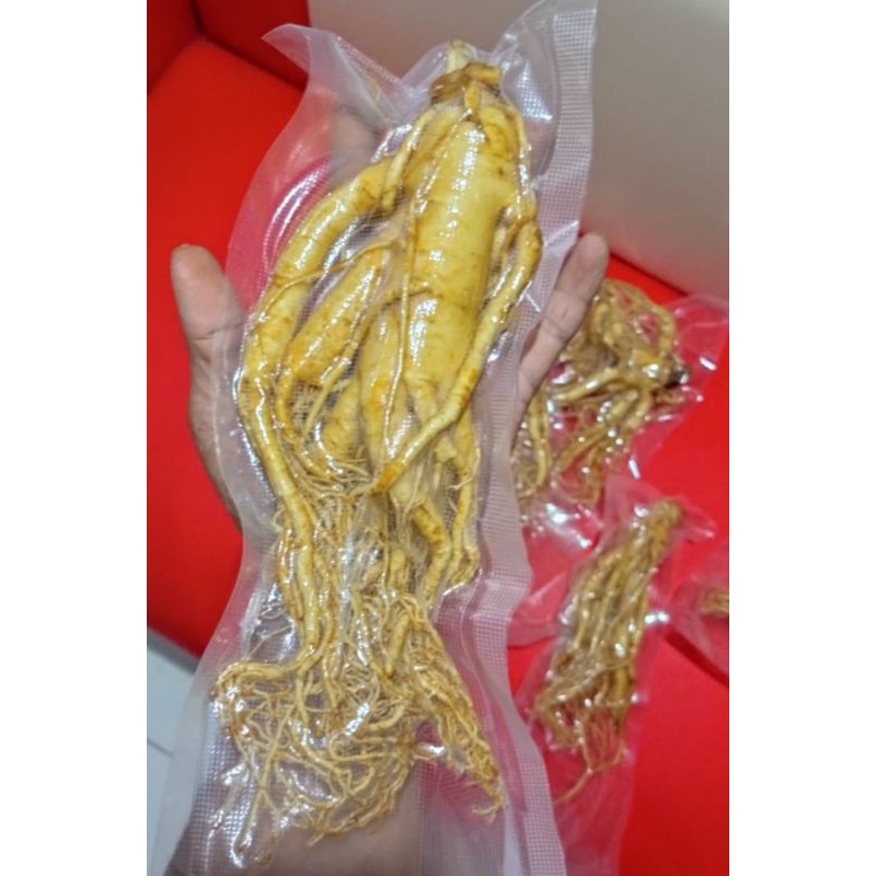 

Gingseng merah asli original korea