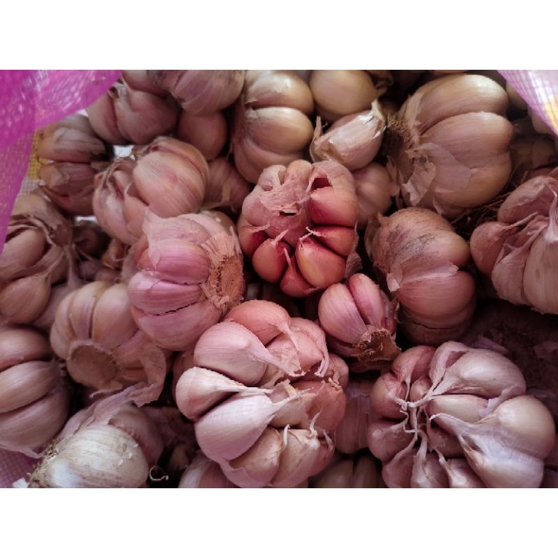

Bawang Putih Murah 1/2