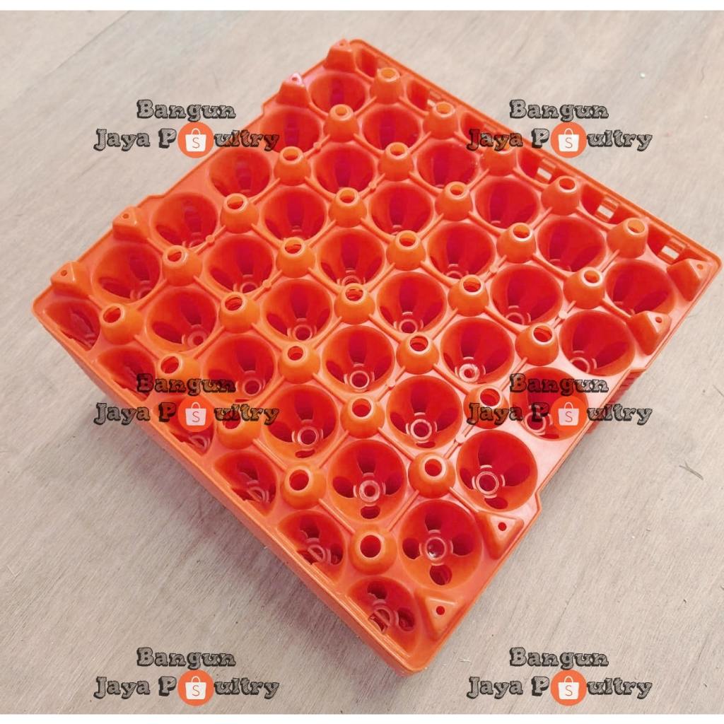 EGG TRAY TEBAL PLASTIK ORANGE 29CM/Rak Telur Ayam, Bebek/Tempat Telur