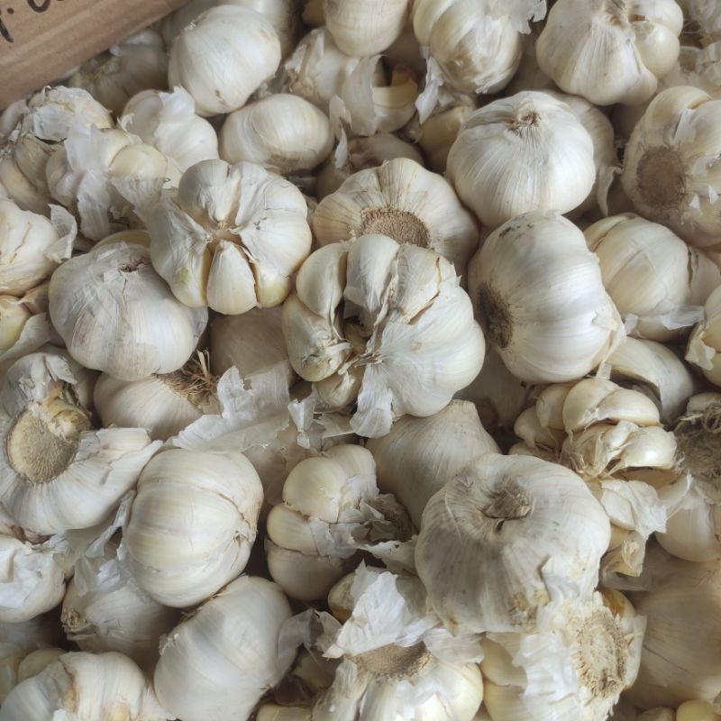 

Bawang Putih 1kg