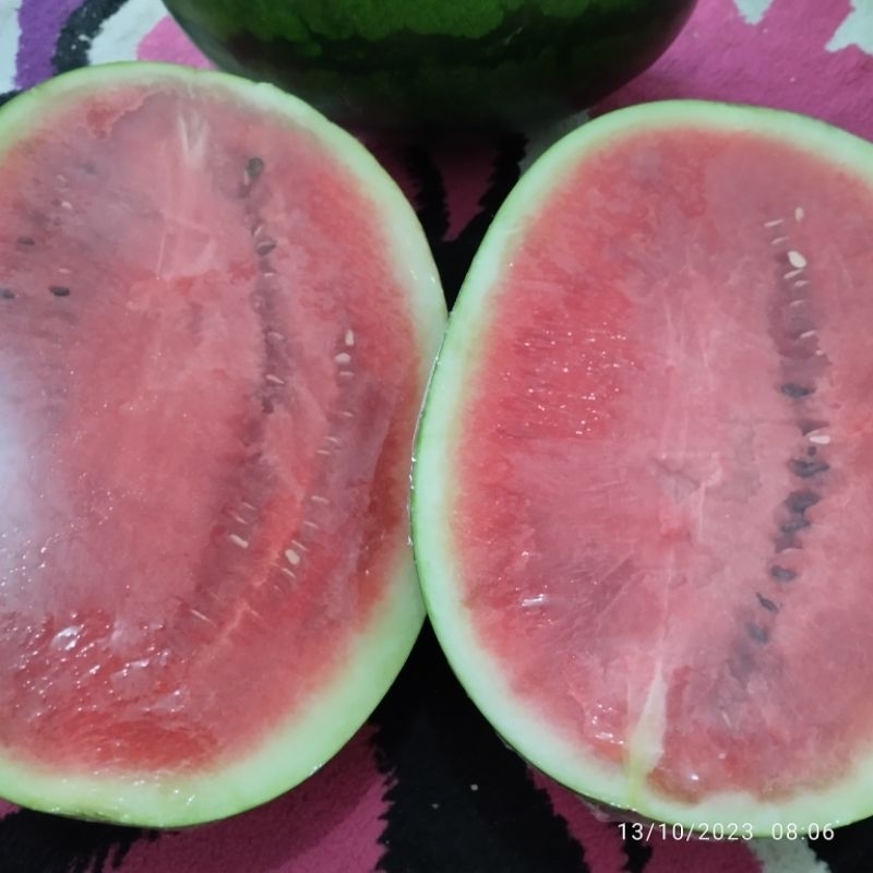 

semangka potong kurang lebih 2 kg di Bandar Lampung