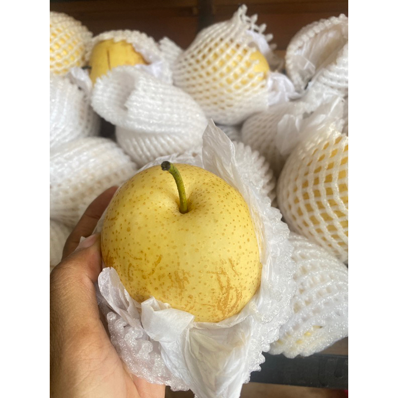 

PIR CENTURI 1KG