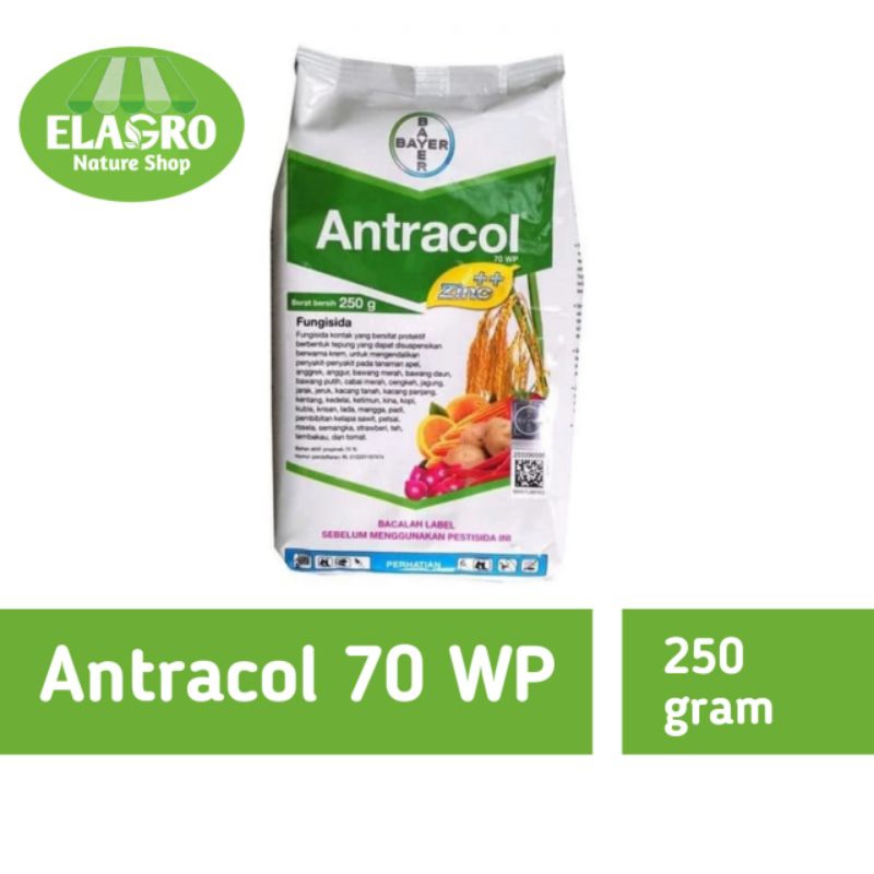 Fungisida Antracol 250 gram
