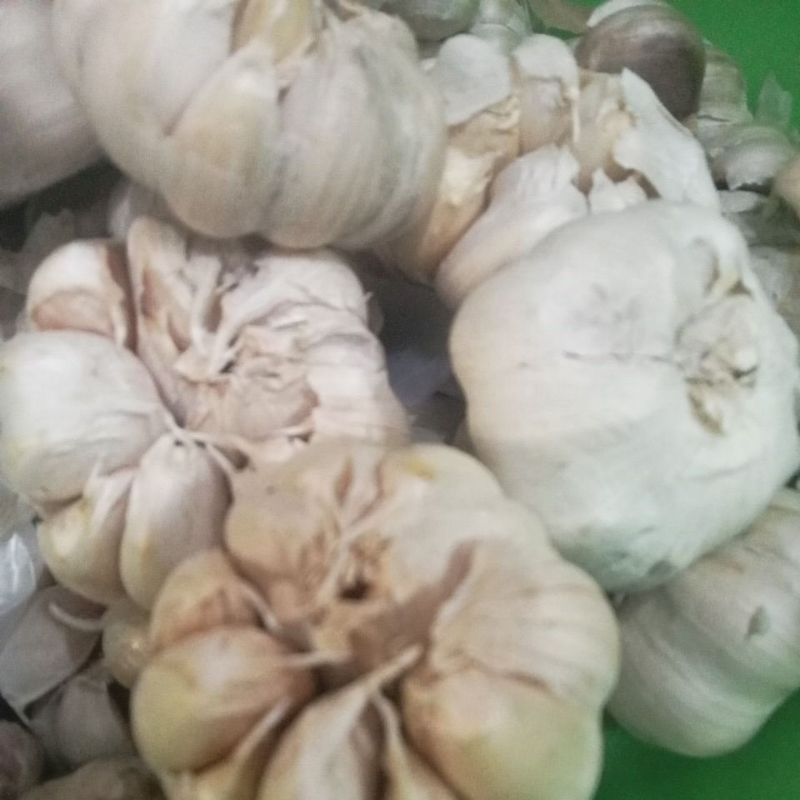 

bawang putih 500gr