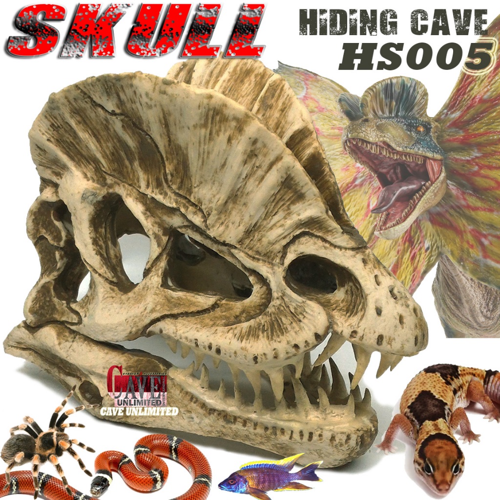 HS005 HIDING CAVE SKULL FOSIL TENGKORAK SKELETON KERANGKA DINOSAURUS ORNAMEN AQUARIUM PALUDARIUM AQU