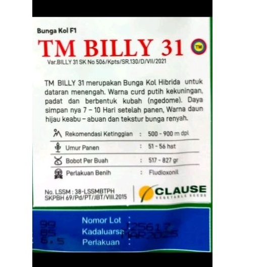 Benih Bunga Kol F1TM BILLY 31 (bisa COD)