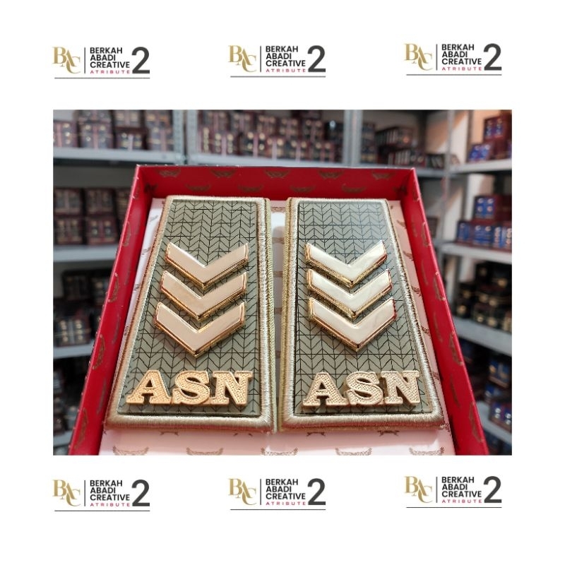 PANGKAT ASN SUMSEL GOLONGAN 2C - BAC ATRIBUT